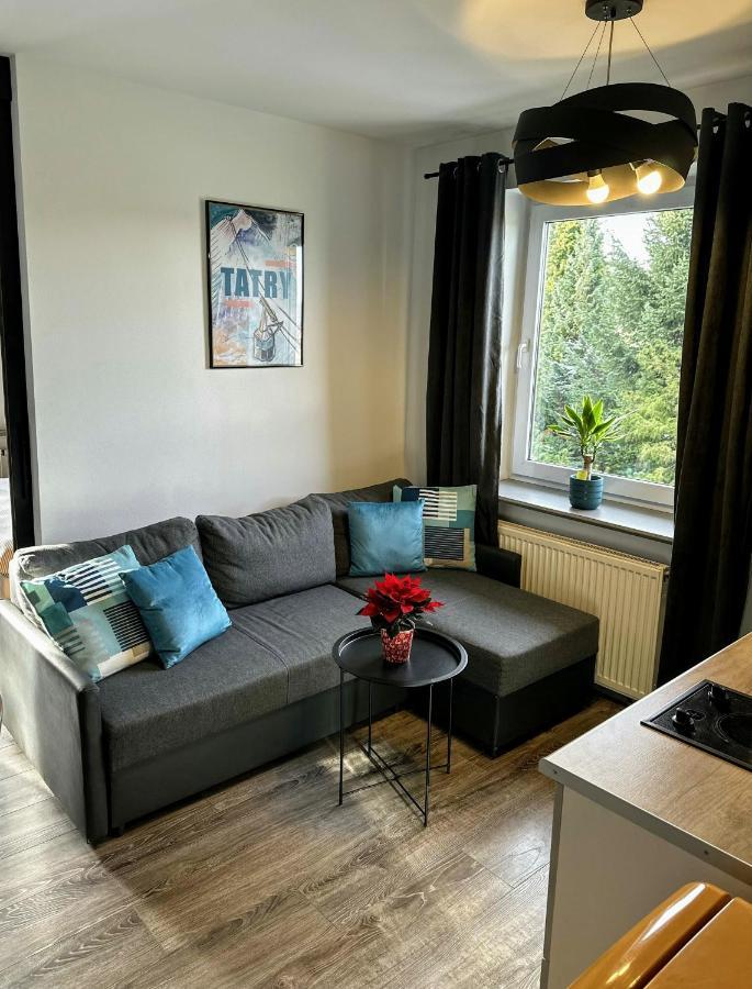 Apartament Swarny Zakatek Zakopane Zewnętrze zdjęcie